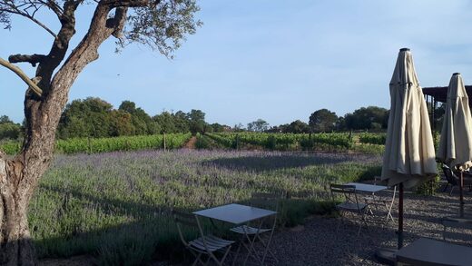 Una auténtica experiencia en el corazón de la Costa Brava